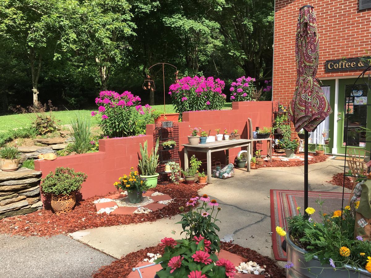 The Ashe Farm Bed & Breakfast Marshall Exterior photo
